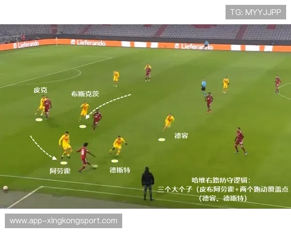 杭州排球队在联合会杯中的实力展现与未来发展潜力分析